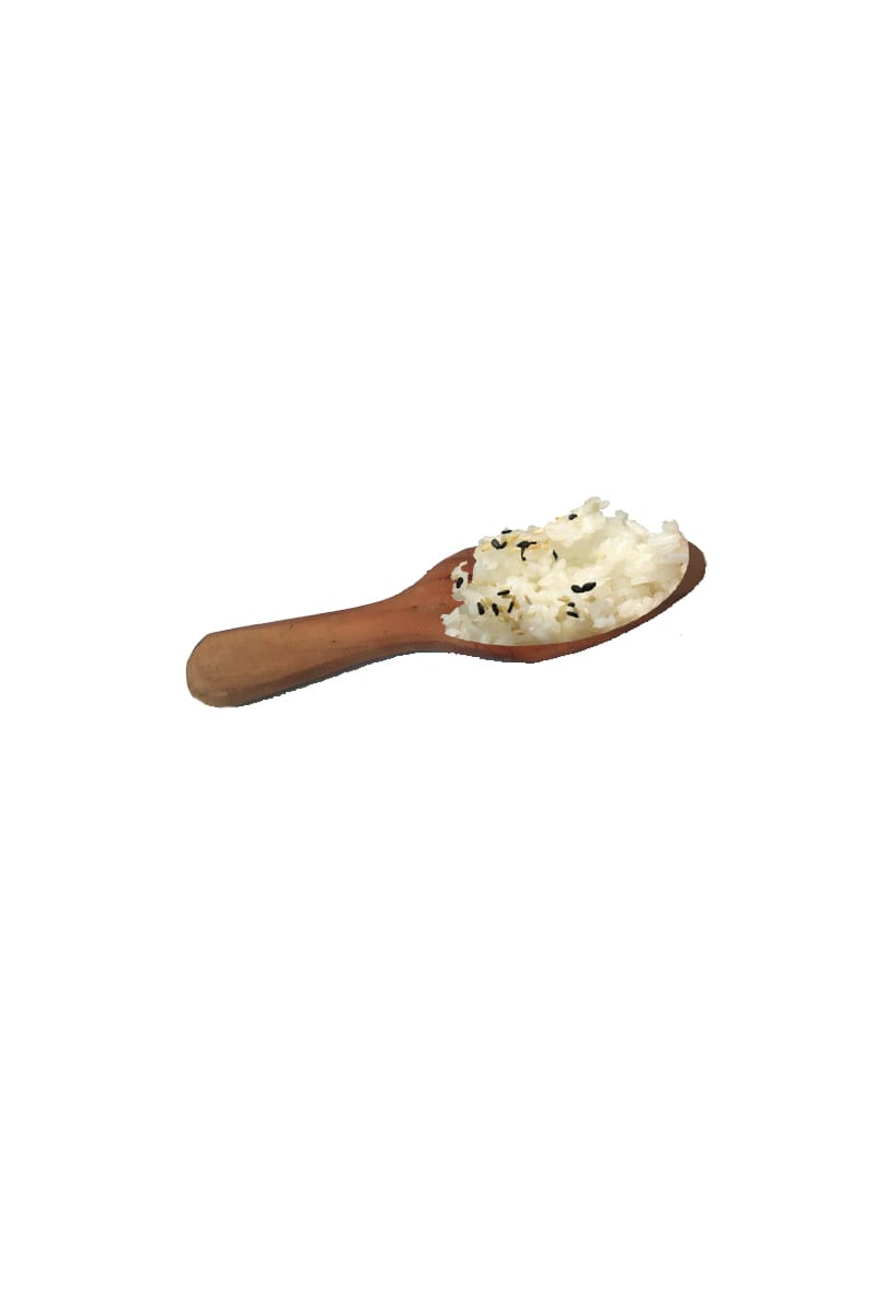 Rice Ladle