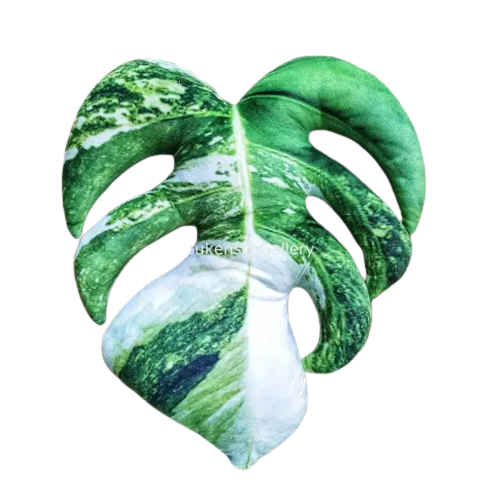 Monstera Deliciousa by BuKensch Galerry