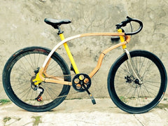 Fixie Road Bike Style